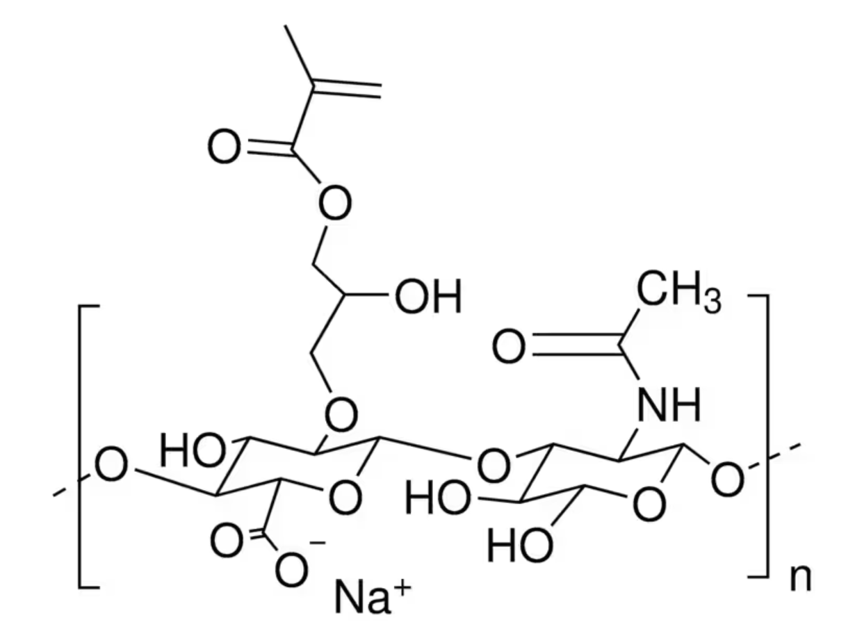 HAMA-structure HAMA (25% substitution) (GMP grade) - Image 1